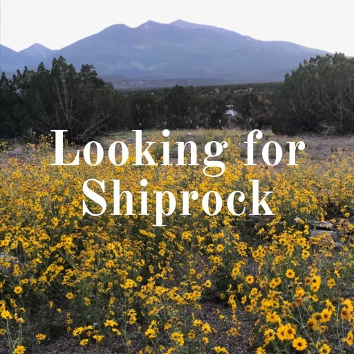 Looking for Shiprock