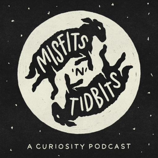 Misfits ‘n’ Tidbits