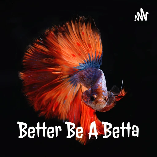 Better Be A Betta