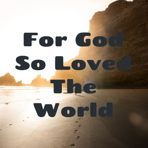 For God So Loved The World