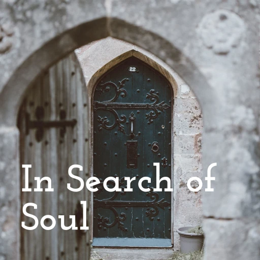 In Search of Soul