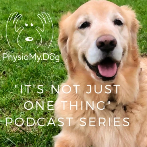 “It’s Not Just One Thing …. That Will Help Your Dog Feel & Move Better” by PhysioMyDog