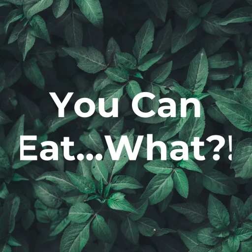 You Can Eat…What?!