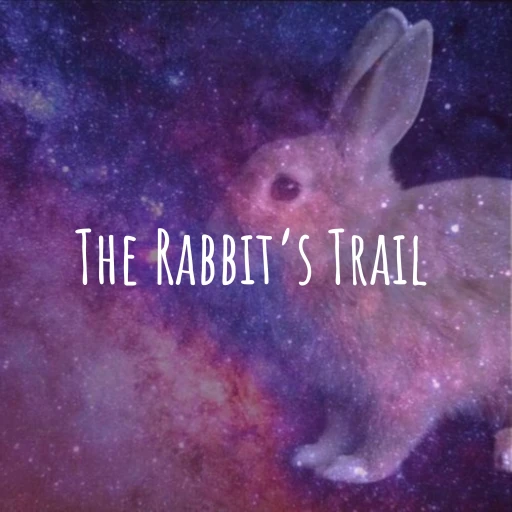 The Rabbit’s Trail