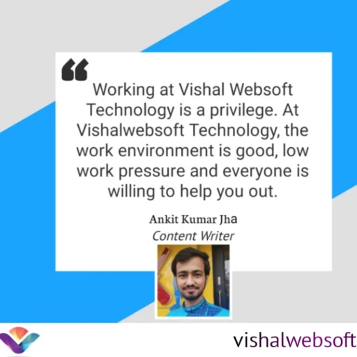 My Work Experience At Vishal Websoft Technology