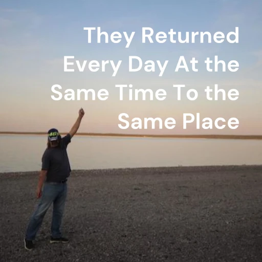 They Returned Every Day At the Same Time To the Same Place