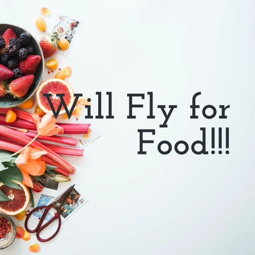 Will Fly for Food!!!