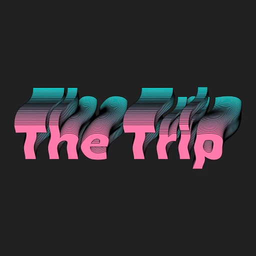 The Trip