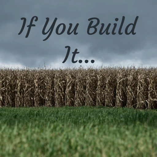 If You Build It…