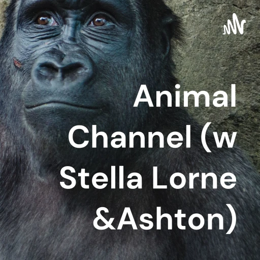 Animal Channel (w Stella Lorne &Ashton)