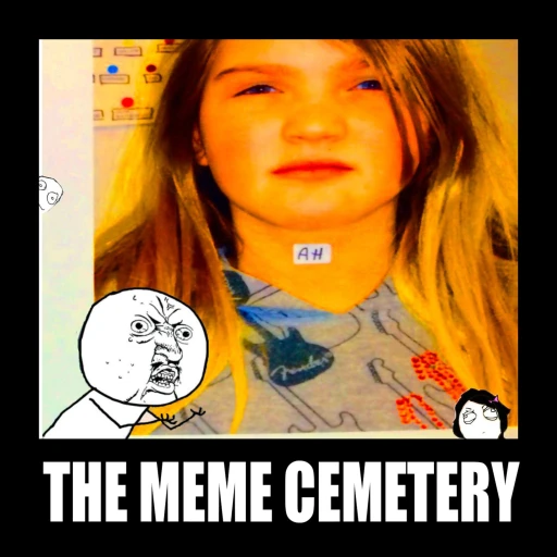 (っ◔◡◔)っ The Meme Cemetery