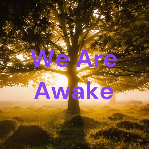 We Are Awake