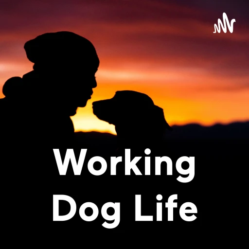 Working Dog Life