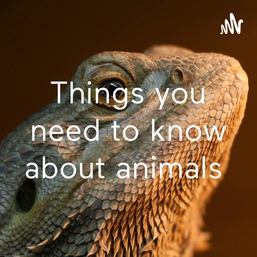 Things you need to know about animals