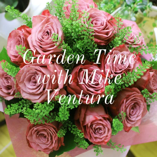 Garden Time with Mike Ventura