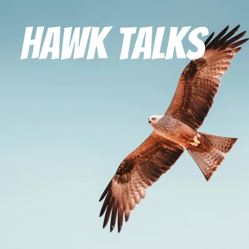 Hawk Talks