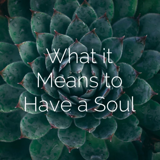 What it Means to Have a Soul