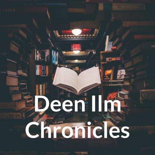 Deen Ilm Chronicles by Yasin Arshad