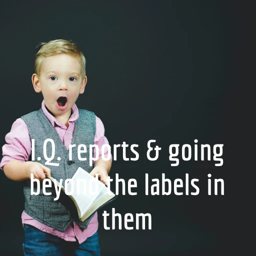 I.Q. reports & going beyond the labels in them