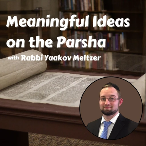 Meaningful Ideas in the Parsha