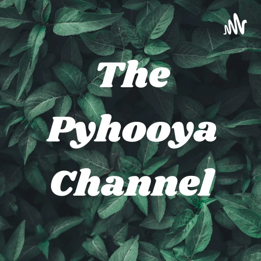 The Pyhooya Channel