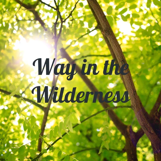 Way in the Wilderness