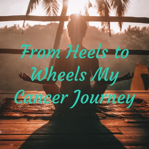 From Heels to Wheels  My Cancer Journey