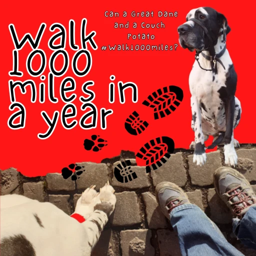 Walk 1000 miles a Year; Can a Great Dane and a Couch Potato #walk1000miles 2021?