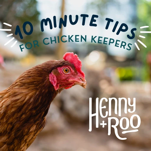 Henny+Roo’s 10 Minute Tips for Chicken Keepers