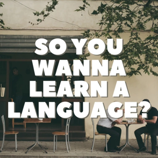 So you wanna learn a language?