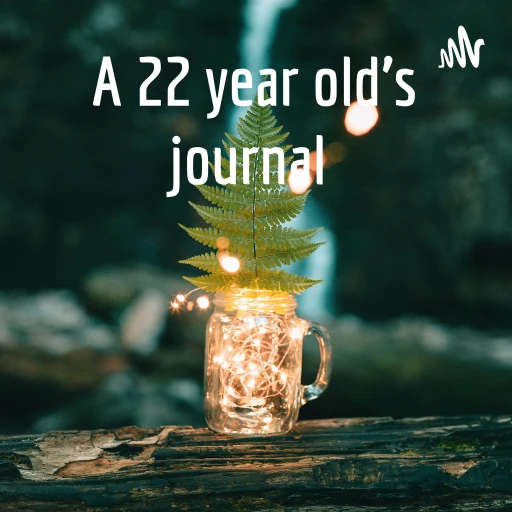 A 22 year old’s journal