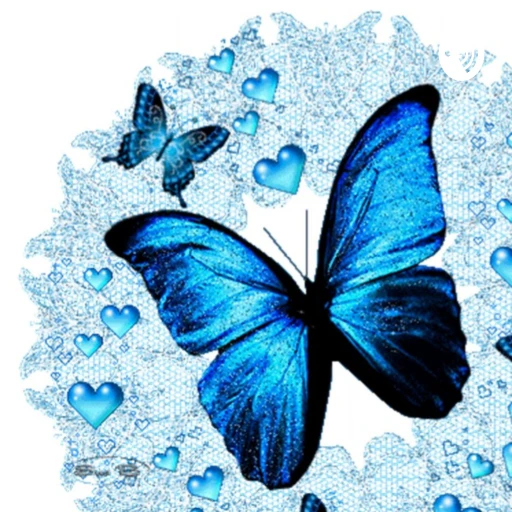 Blue Butterfly