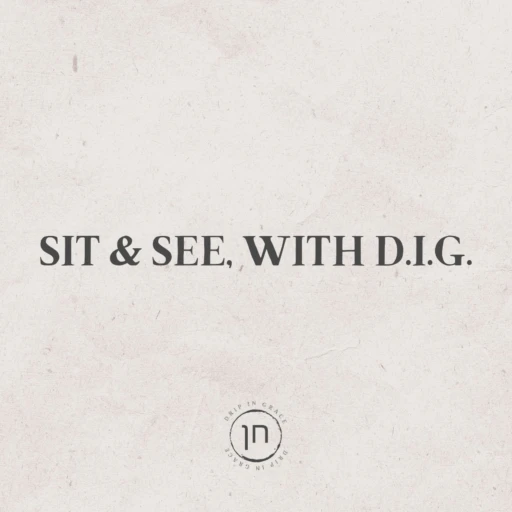 Sit & See, With D.I.G.