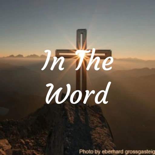 In The Word