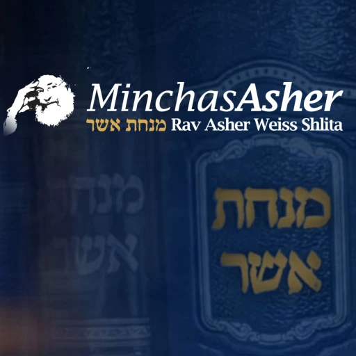 Rav Asher Weiss – Shiurim & Divrei Torah