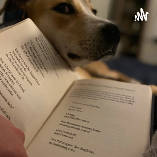 Irish Boy Reading Poetry In New York