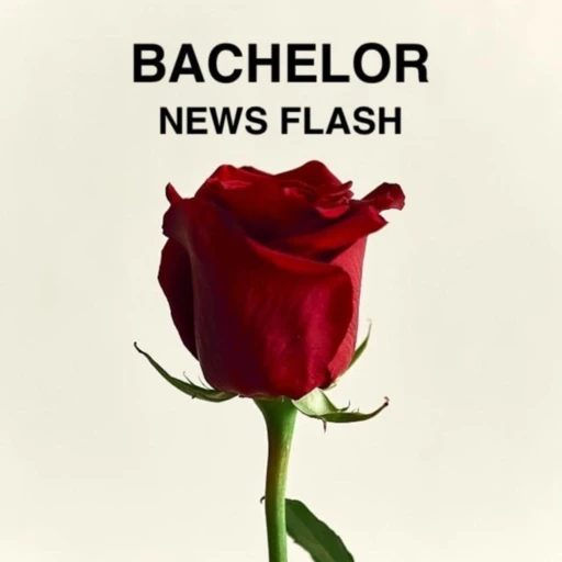 Bachelor News Flash