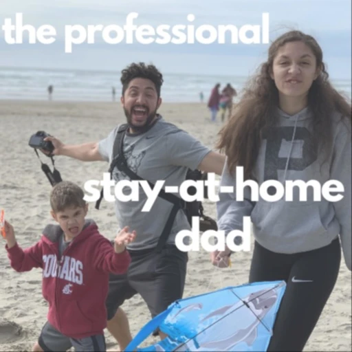 The Professional Stay at Home Dad