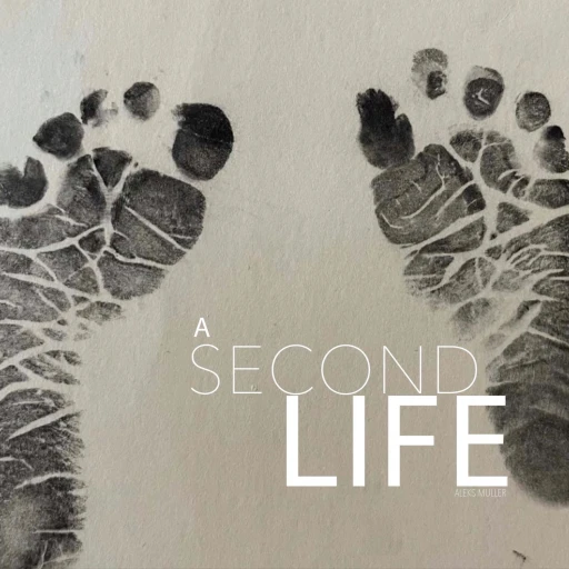 A Second Life