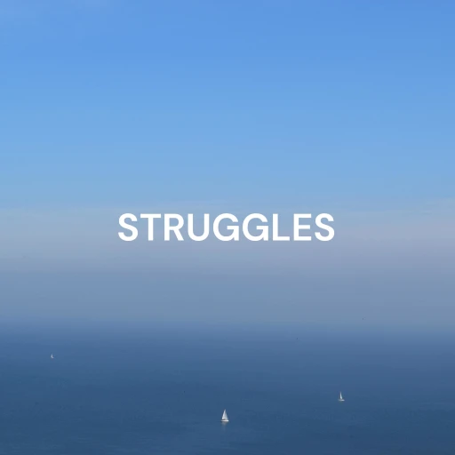 STRUGGLES – Tools Which Groom You On The Journey To Success