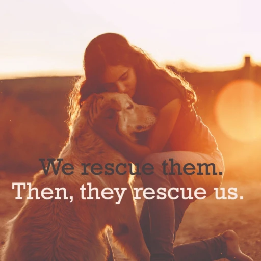 Rescue Pets