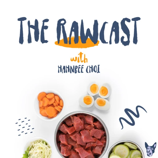 The Rawcast w/ Hahnbee Choi