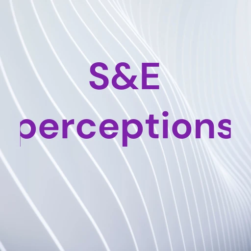 S&E perceptions