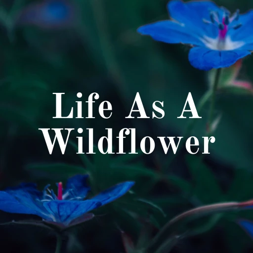 Life As A Wildflower