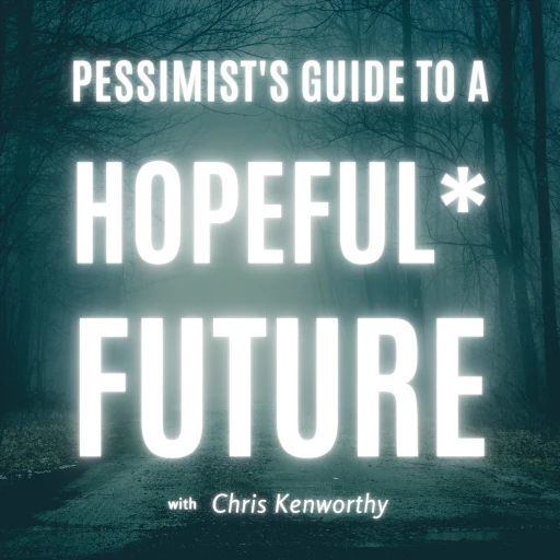 The pessimist’s guide to a hopeful future