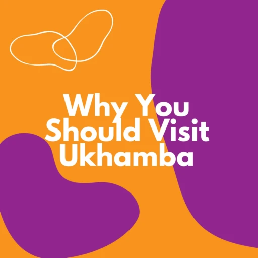 Why You Should Visit Ukhamba Brewery