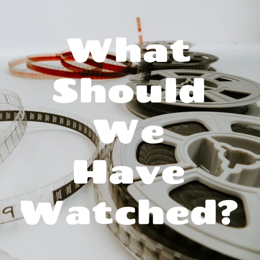 What Should We Have Watched?