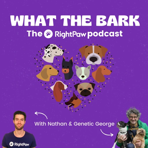 What The Bark – The RightPaw Podcast