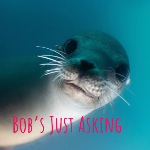 Bob’s Just Asking