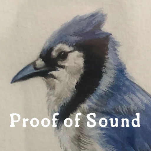 Proof of Sound